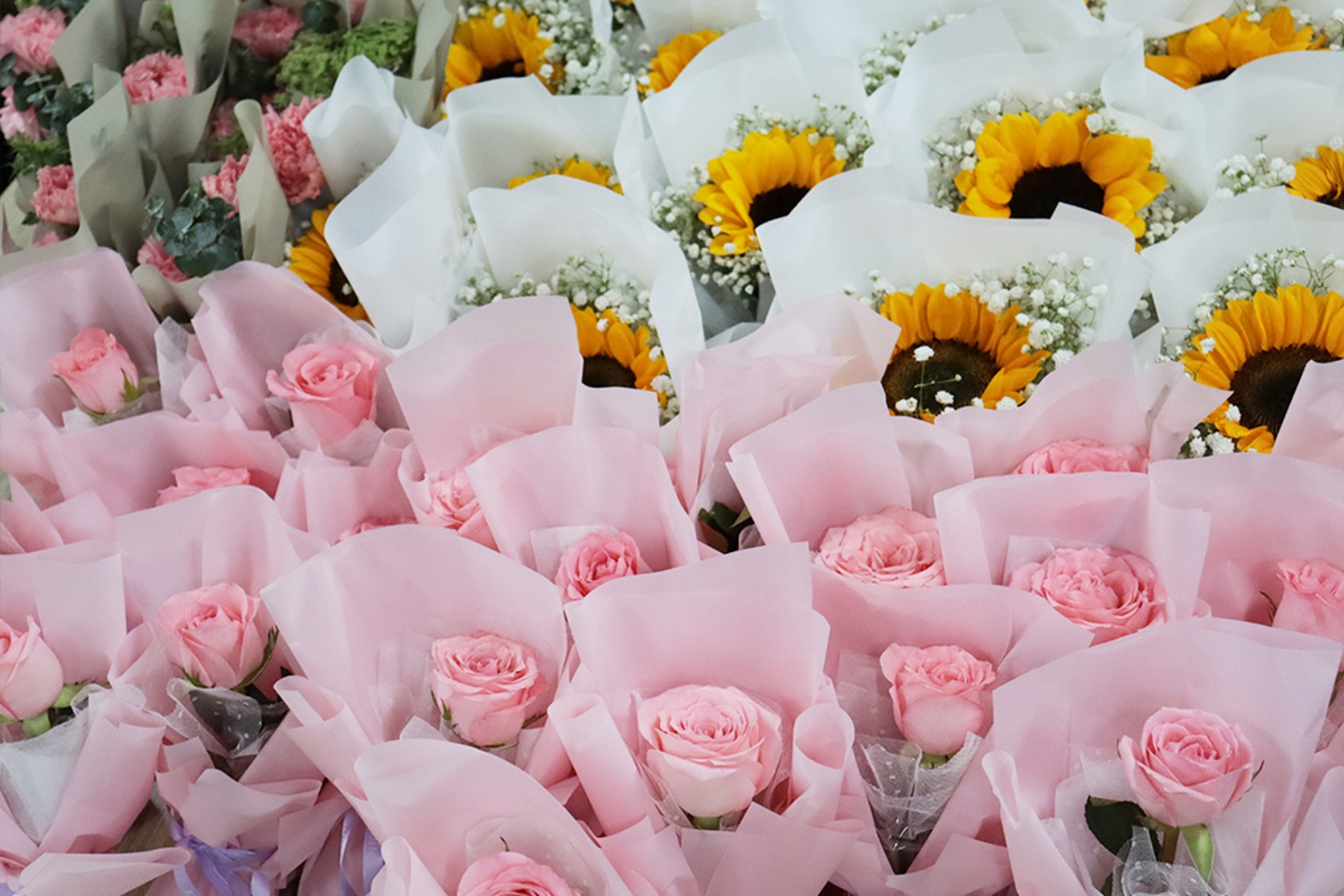 1646986426353302.jpg 123112.jpg