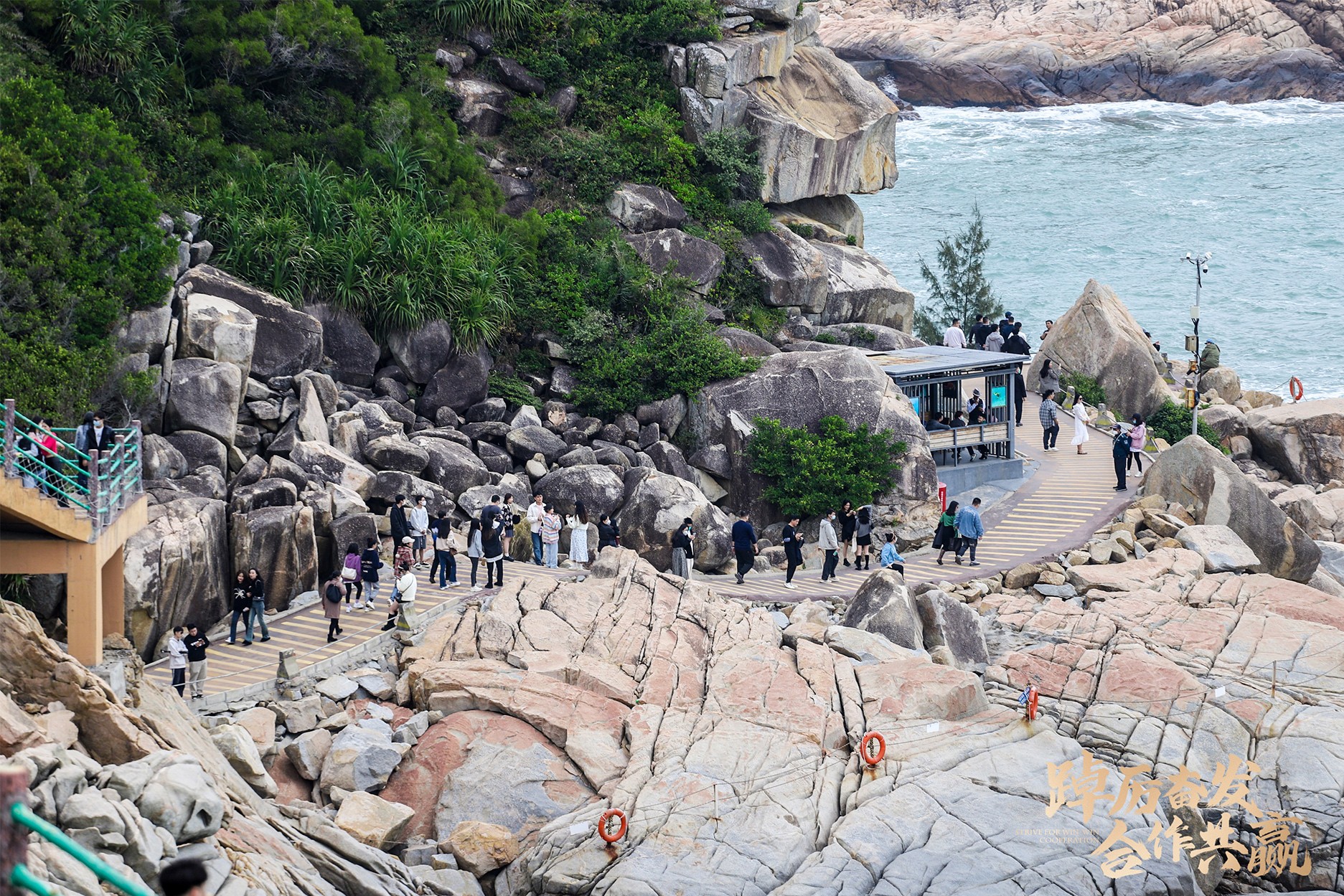 1675406206916884.jpg 33`.jpg