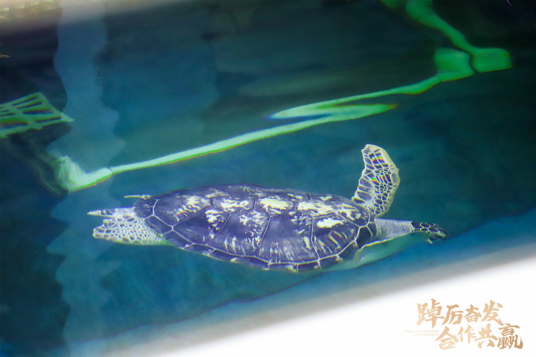 1675407255743896.jpg 10`.jpg