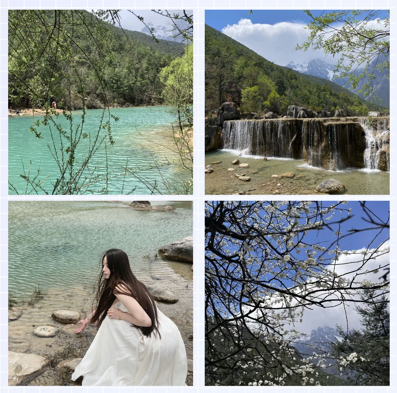 1715592268472071 1715592268472071.jpg